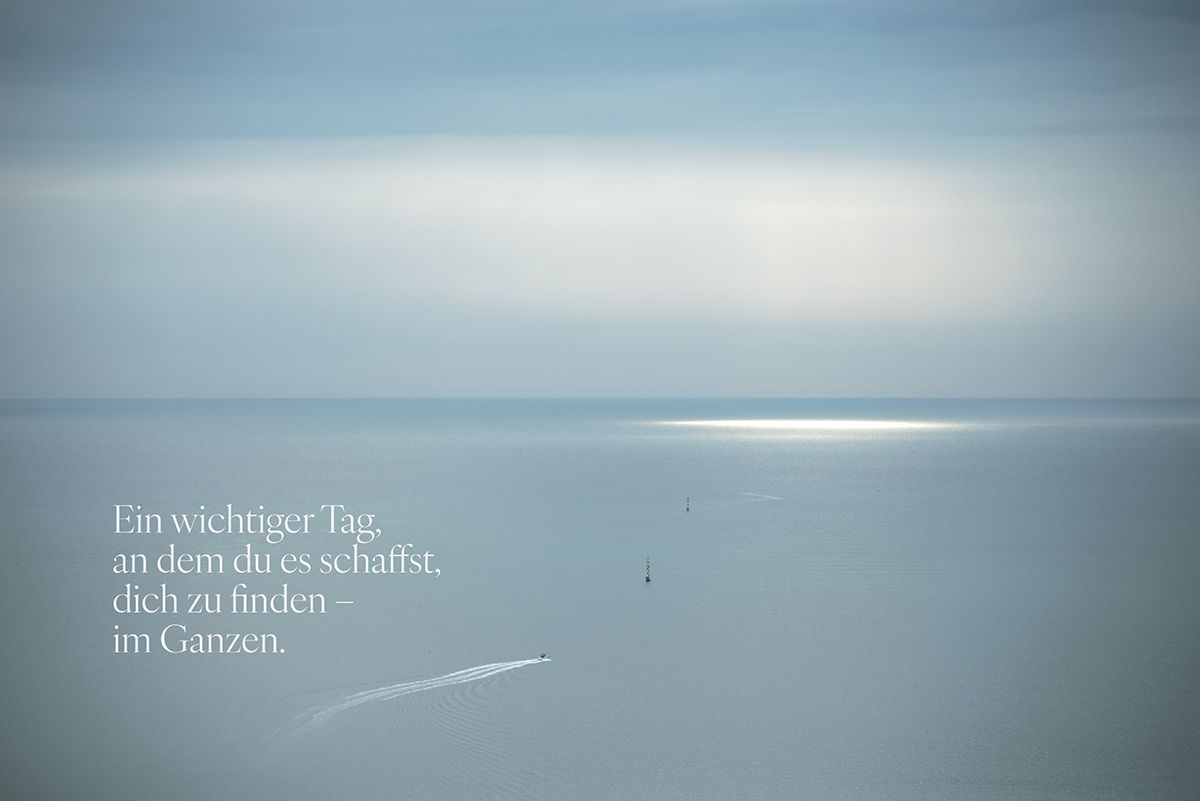 Entscheidung · Kraftbild