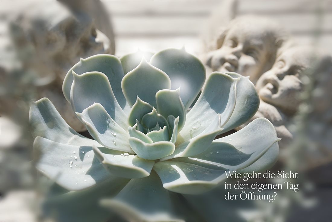 Erwachen · Kraftbild