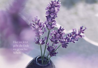 Erwachen · Kraftbild