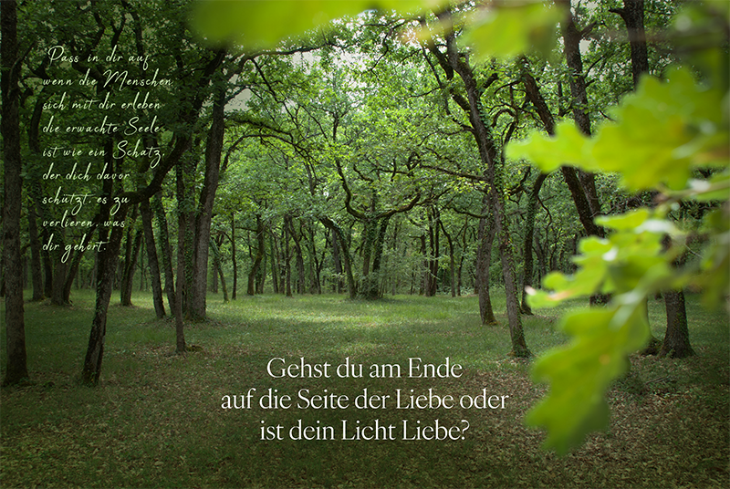 Offenheit · Kraftbild