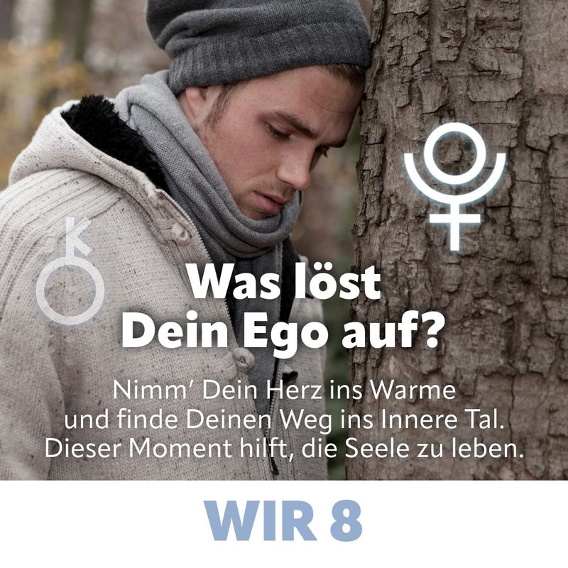 WIR 8 · Deine Macht