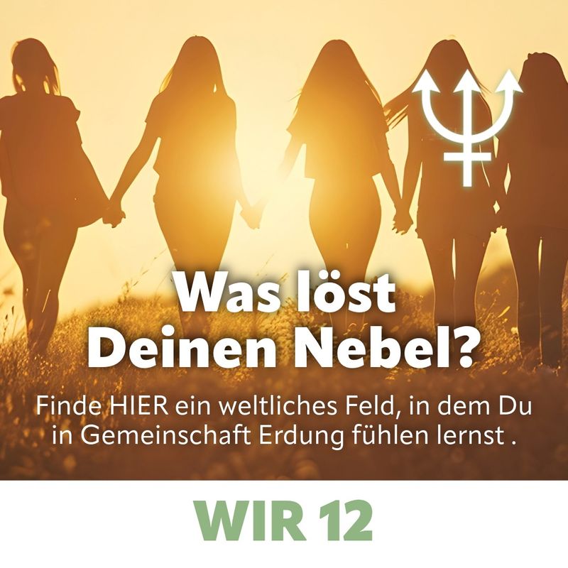 WIR 12 · Dein NEUES ICH