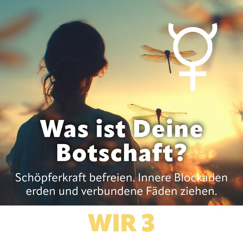 WIR 3 - Deine Schöpferkraft