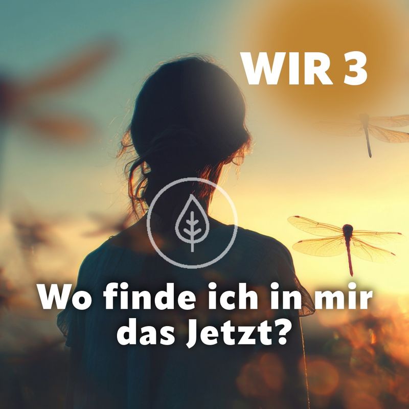 WIR 3 - Wo finde ich in mir das Jetzt?