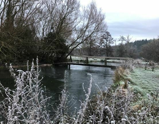 Top bridge, Lower Itchen Fishery