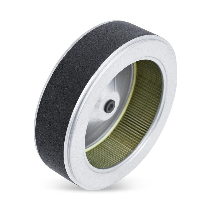 Honda Gas Engine Air Filter