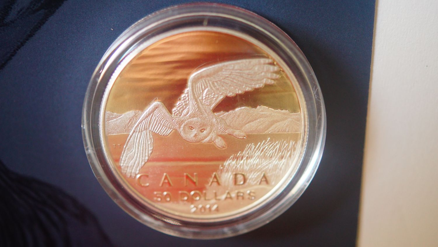2014 $50 CAD Snowy Owl Coin
