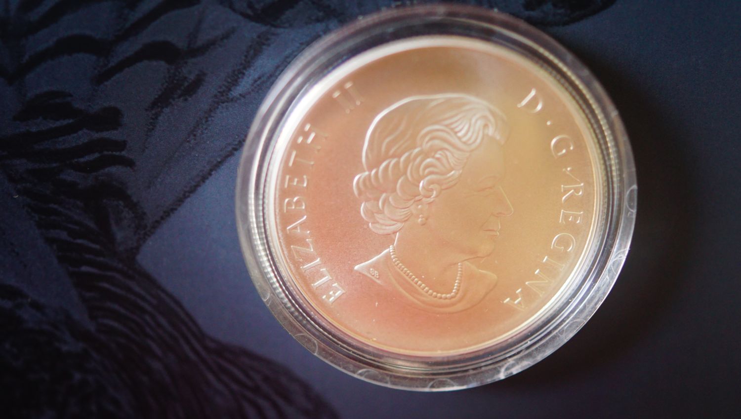 2014 $50 CAD Snowy Owl Coin