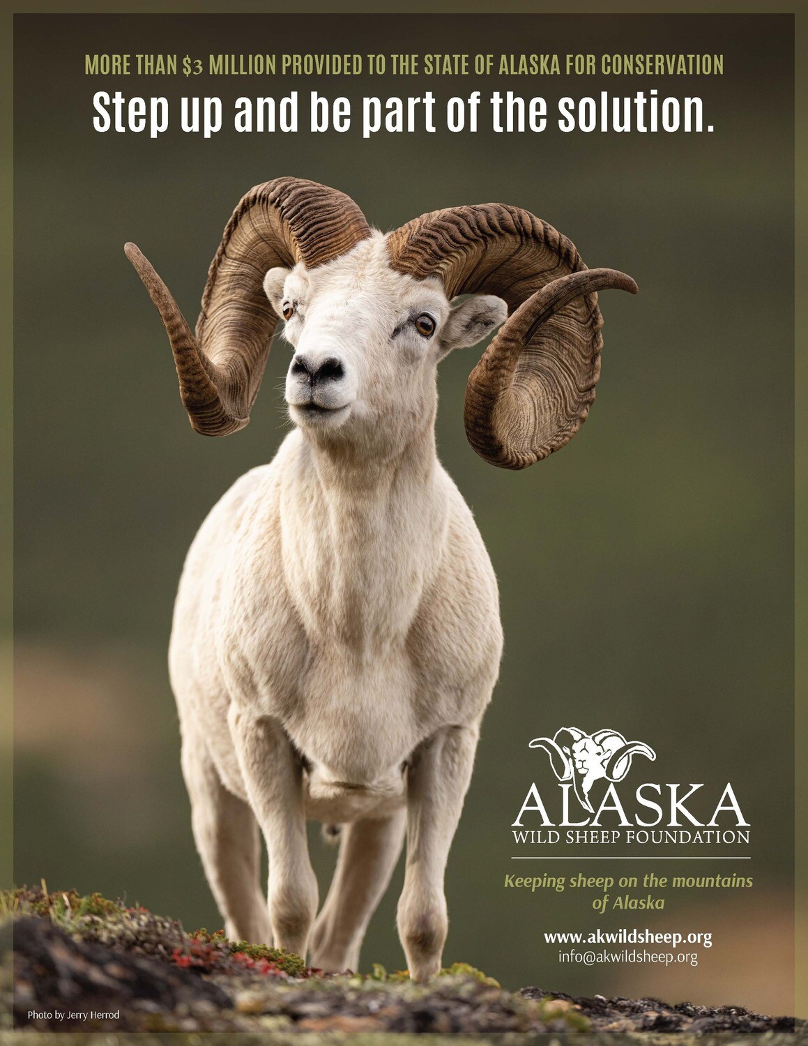 Donate to help keep sheep on the mountains of Alaska!