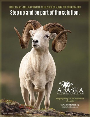 Donate to help keep sheep on the mountains of Alaska!