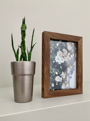 North Side Modern Frame