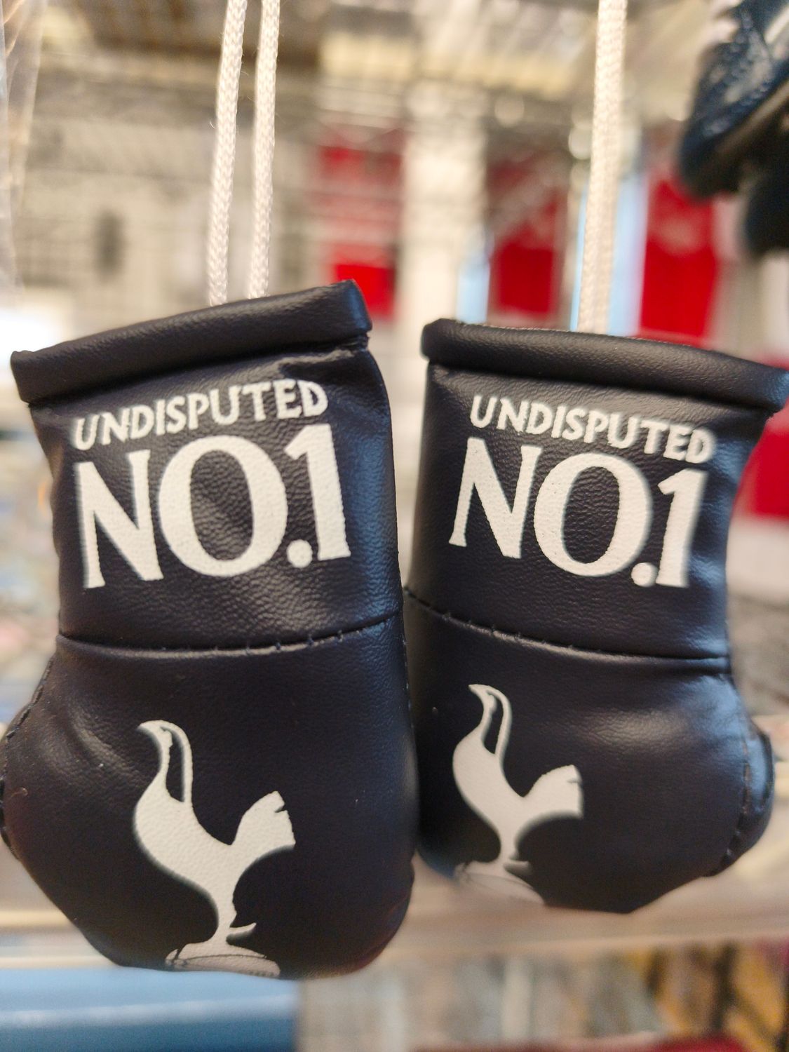 Tottenham Car Boxing Gloves