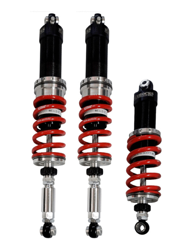M2 Can Am Spyder Shock Set