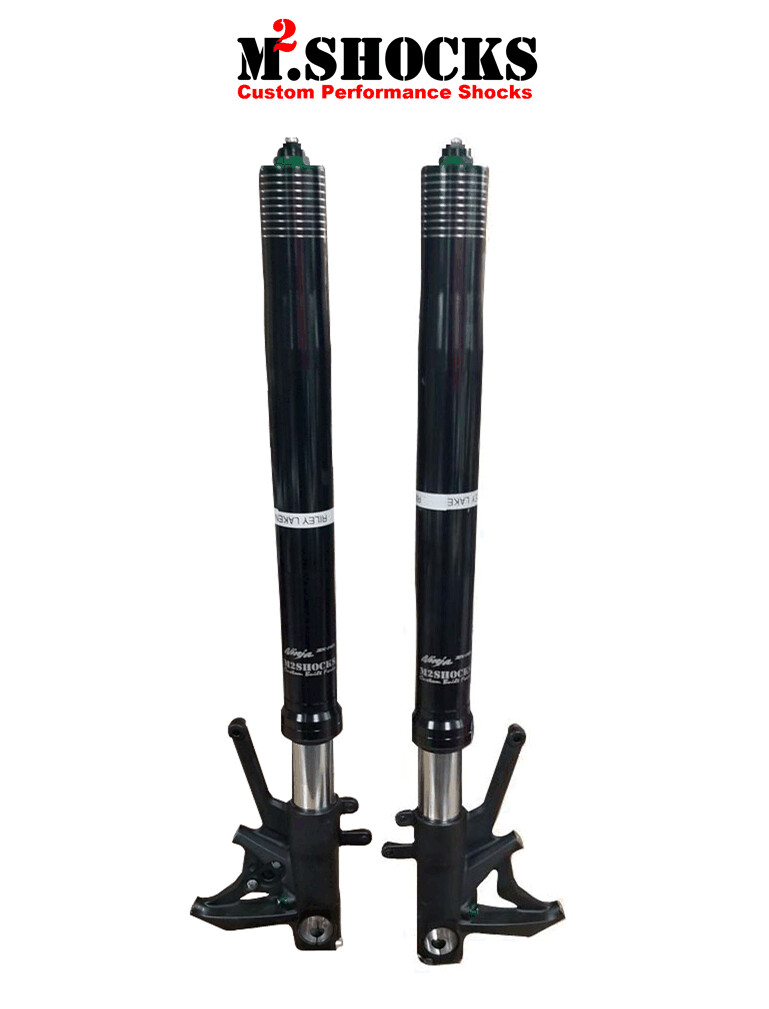 Standard Super Street Forks