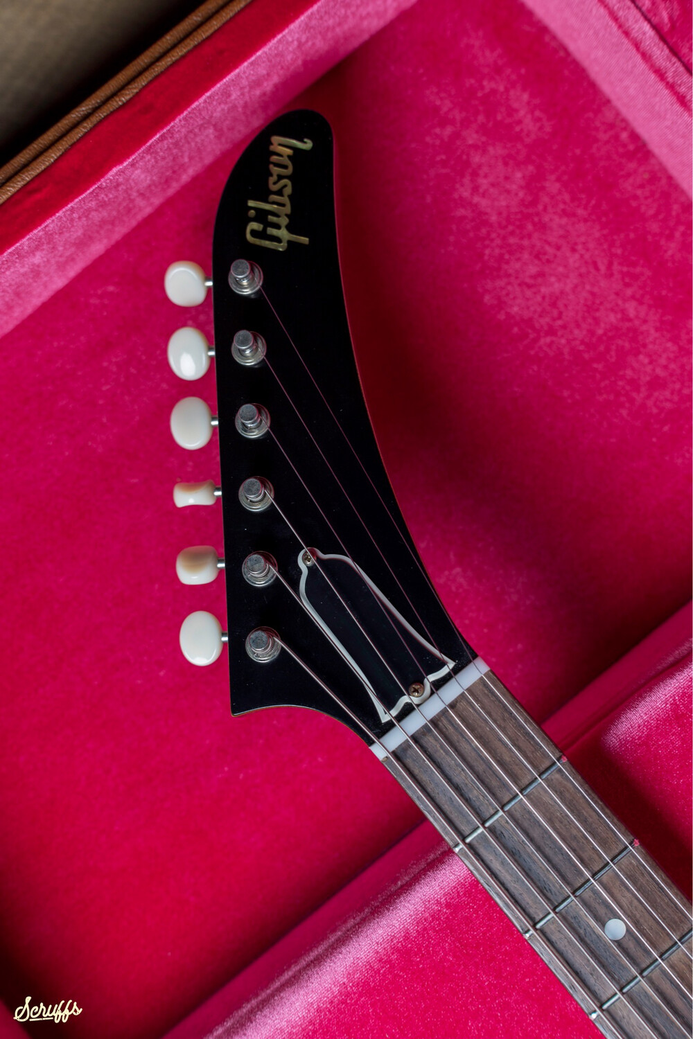 Gibson Theodore