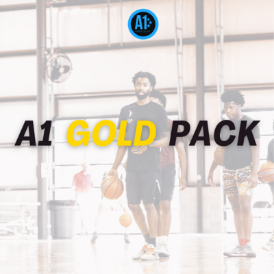 A1 Gold Pack (10 Sessions/ $350 total)