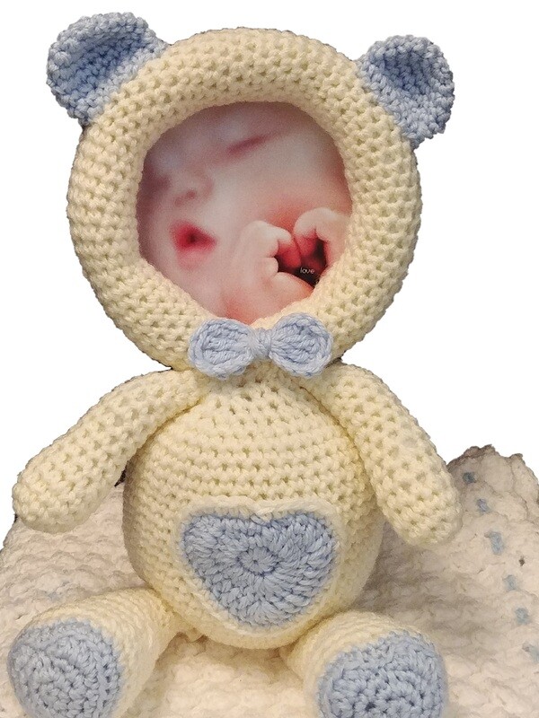 Brittany the Bear photo frame
