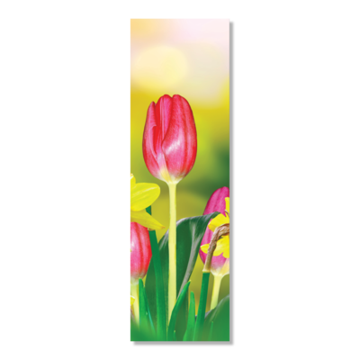 Spring Tulip 601