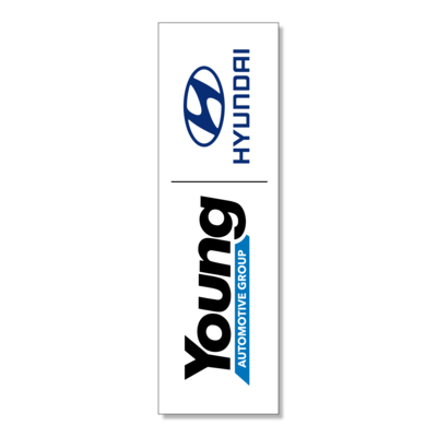 Young Automotive Group Hyundai 605