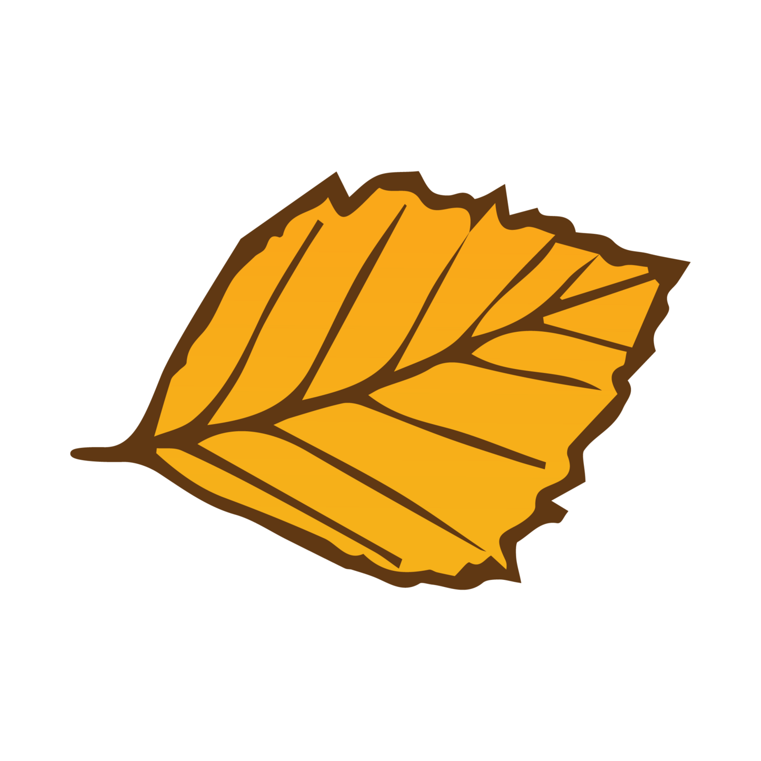 Fall Leaf 16