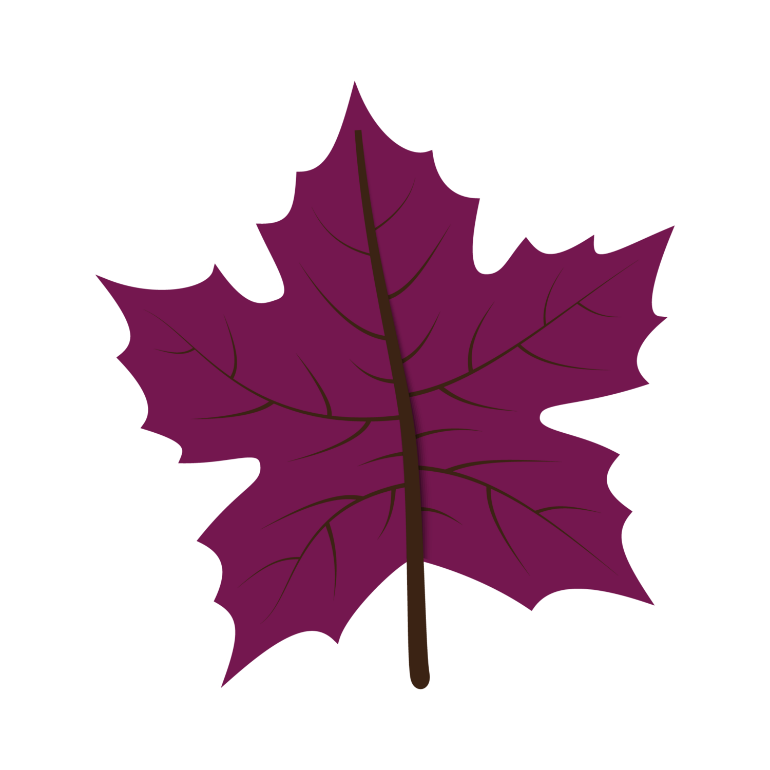 Fall Leaf 17