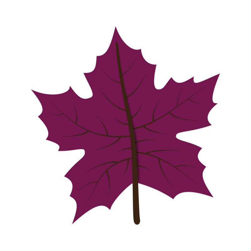 Fall Leaf 17