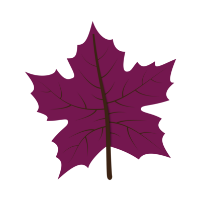 Fall Leaf 17