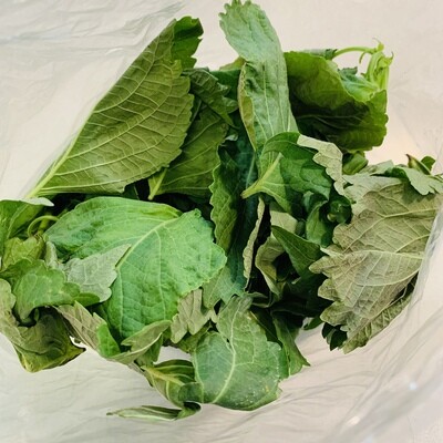 Farm Shiso Bag