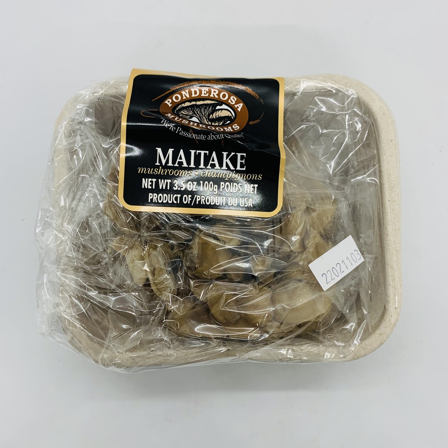 PONDEROSA Mushroom Maitake