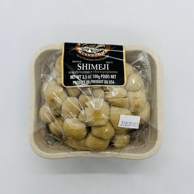 PONDEROSA Mushroom Shimeji
