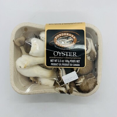 PONDEROSA Mushroom Oyster
