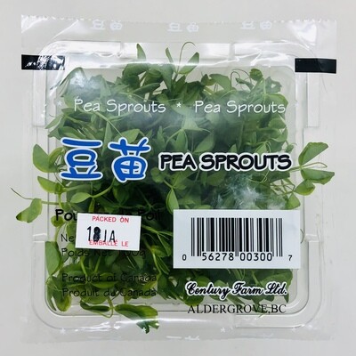 Pea Sprouts(Tomyo)