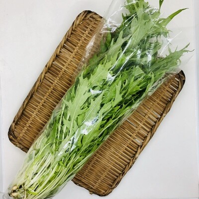 Farm Mizuna