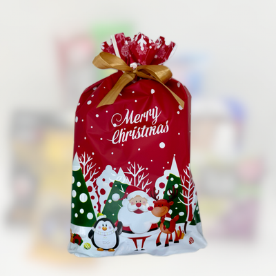 Christmas Gift Bag