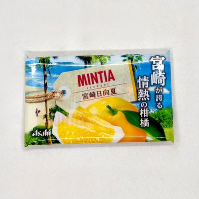 Mintia Miyazaki Hyuganatsu