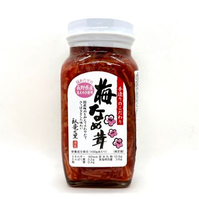 Nagano Ume Nametake