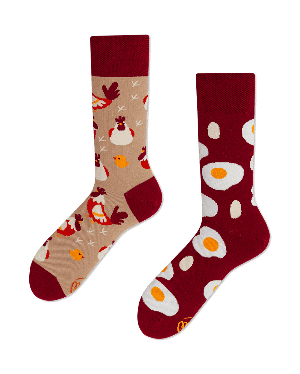 Egg and Chicken