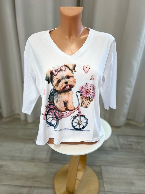 Shirt Sunny