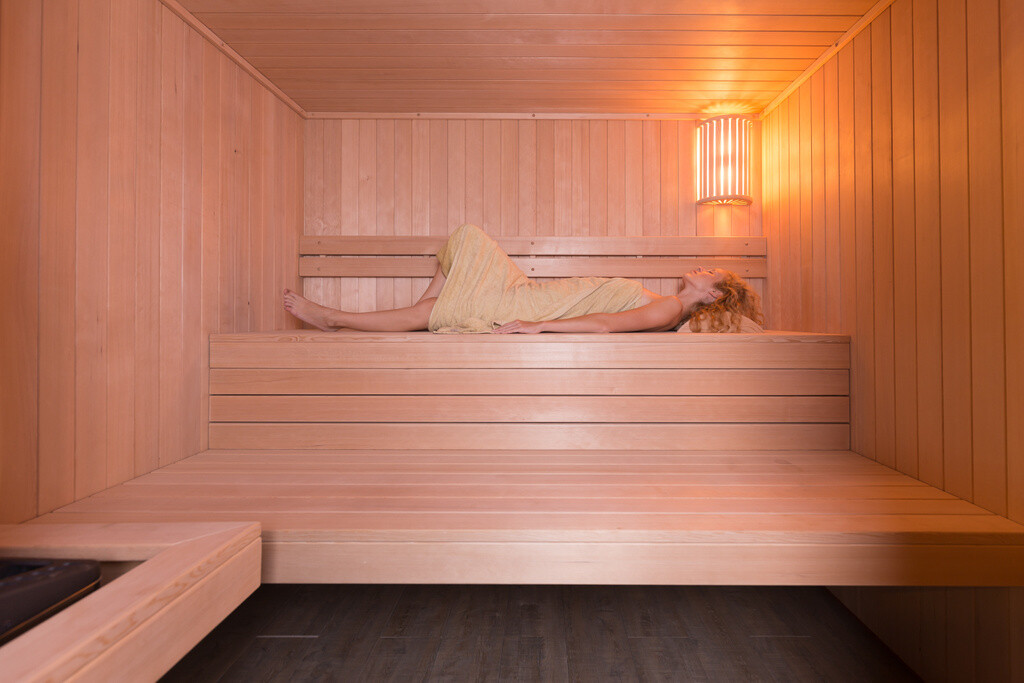 CHALEUR PROFI Sauna 240x210x220cm