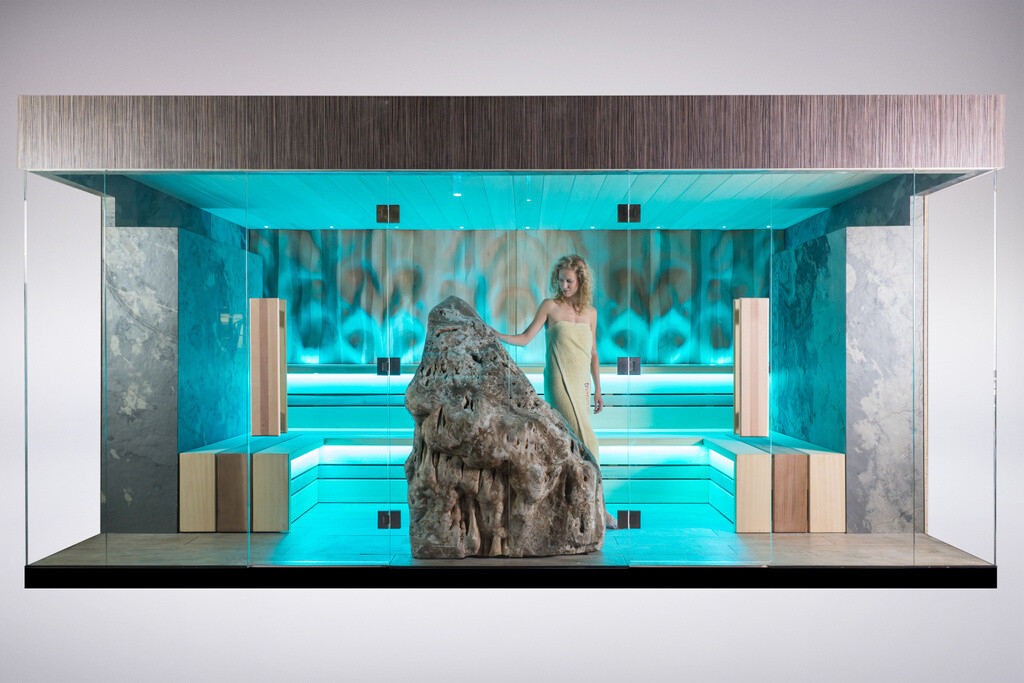 PRO Sauna VENUS 450cm x 300cm x H220
