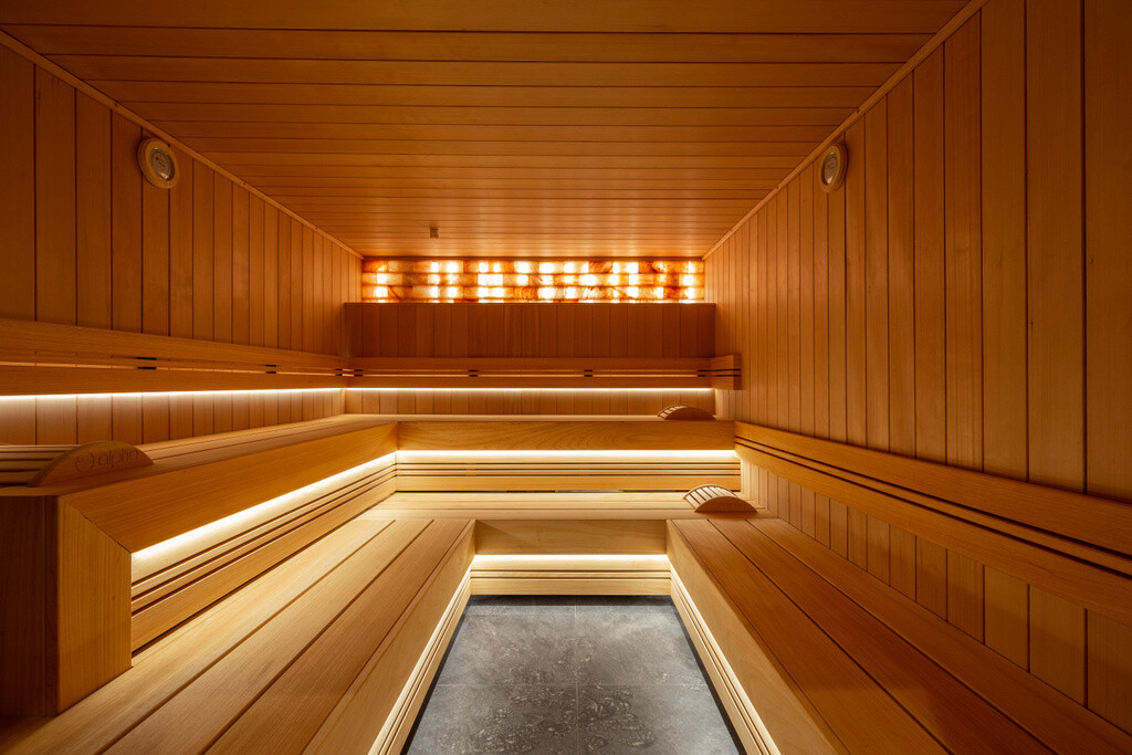 CHALEUR PROFI Sauna 240x210x220cm