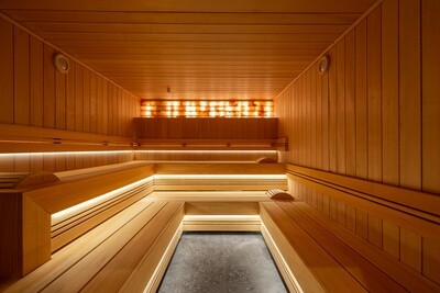 CHALEUR PROFI Sauna 240x210x220cm
