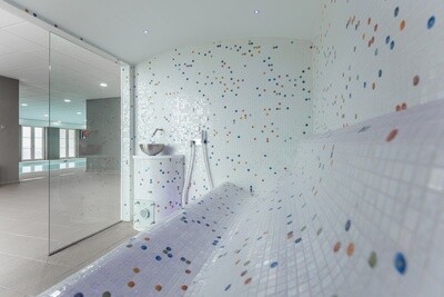 PRO Hammam stoombad ALLADIN'S DREAM STEAMROOM L240 x D240 x H220cm