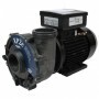 Gecko Aqua-Flo Flo-Master jet massage pomp XP2e 2HP 1SPEED