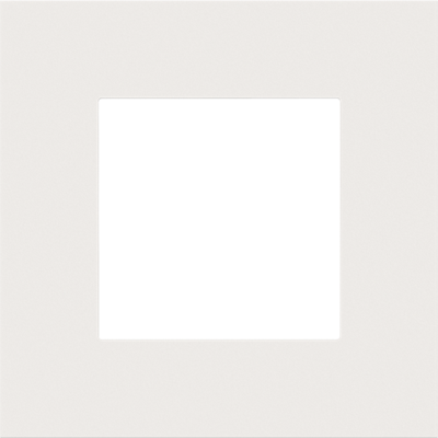 Afdekplaat enkelvoudige Pure Steel White