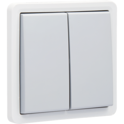 Hydro drukknop 2-voudig 10A Grey (Schroefklemmen)