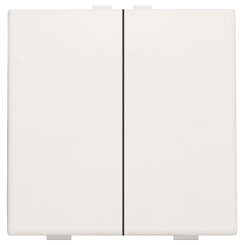Drukknop 2-voudig White Home control