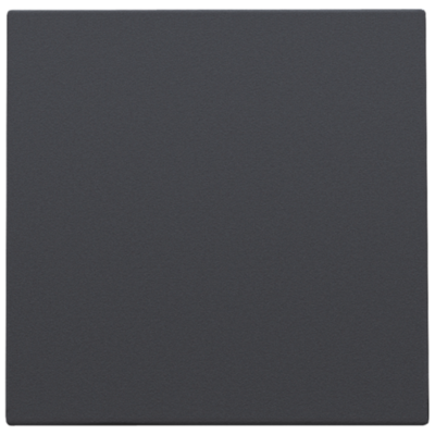 Blinde afsluitplaat Anthracite