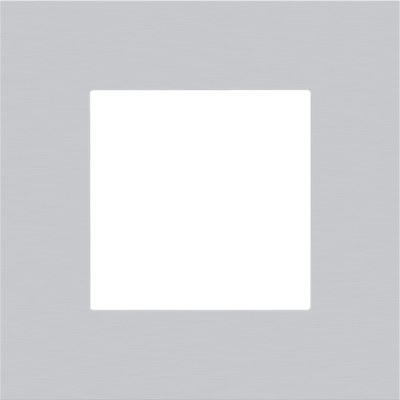 Afdekplaat enkelvoudige Pure Alu Grey