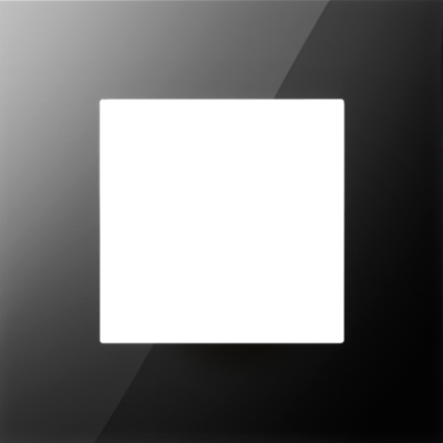 Afdekplaat enkelvoudige Pure Liquid Black